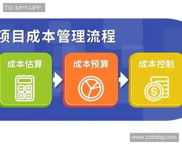 红桃国际问题反馈与处理流程的优化与实施策略探讨