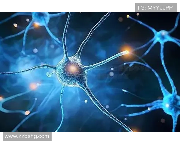 探索非凡娱乐神经渲染技术的未来潜力与应用前景分析