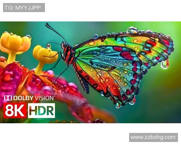 超高清HDR宽色域标配引领视听新体验尽享极致画质与色彩魅力 超高清HDR宽色域标配引领视听新体验尽享极致画质与色彩魅力